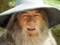 Gandalf the Grey from Lord of the Rings